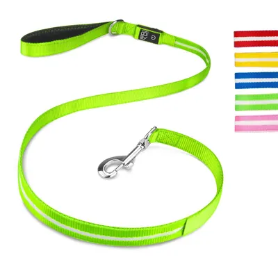 Laisse Lumineuse pour Chiens - Sécurité Nocturne, Rechargeable USB,