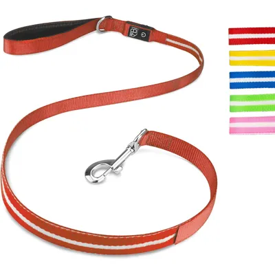 Laisse Lumineuse pour Chiens - Sécurité Nocturne, Rechargeable USB,