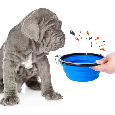 Bol Pliable pour Chiens et Chats - Compact, Silicone Durable, Voyage.