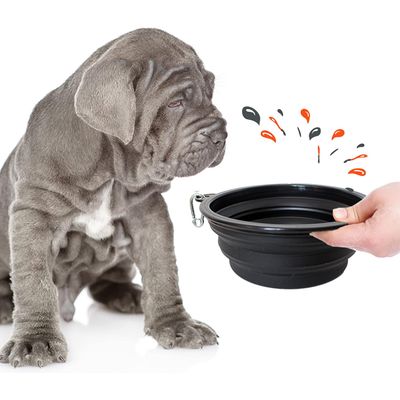 Bol Pliable pour Chiens et Chats - Compact, Silicone Durable, Voyage.