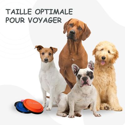 Bol Pliable pour Chiens et Chats - Compact, Silicone Durable, Voyage.