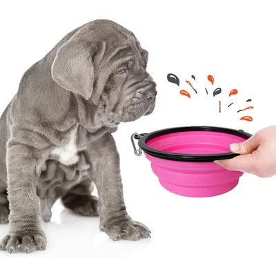 Bol Pliable pour Chiens et Chats - Compact, Silicone Durable, Voyage.