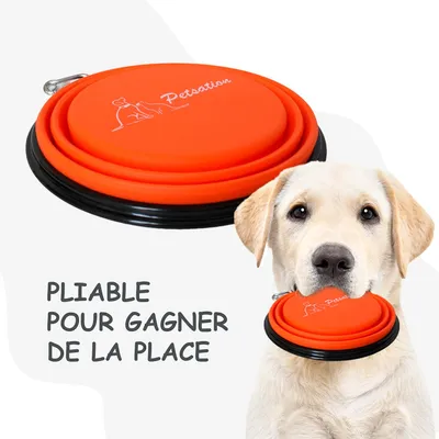 Bol Pliable pour Chiens et Chats - Compact, Silicone Durable, Voyage.