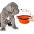 Bol Pliable pour Chiens et Chats - Compact, Silicone Durable, Voyage.