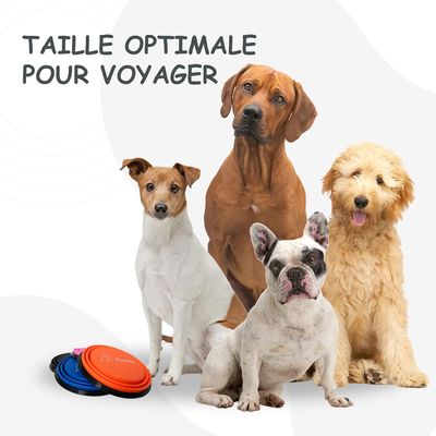 Bol Pliable pour Chiens et Chats - Compact, Silicone Durable, Voyage.