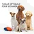 Bol Pliable pour Chiens et Chats - Compact, Silicone Durable, Voyage.