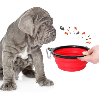 Bol Pliable pour Chiens et Chats - Compact, Silicone Durable, Voyage.