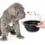 Bol Pliable pour Chiens et Chats - Compact, Silicone Durable, Voyage.