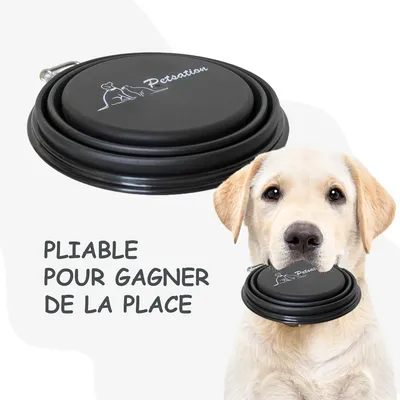 Bol Pliable pour Chiens et Chats - Compact, Silicone Durable, Voyage.