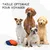 Bol Pliable pour Chiens et Chats - Compact, Silicone Durable, Voyage.