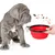 Bol Pliable pour Chiens et Chats - Compact, Silicone Durable, Voyage.