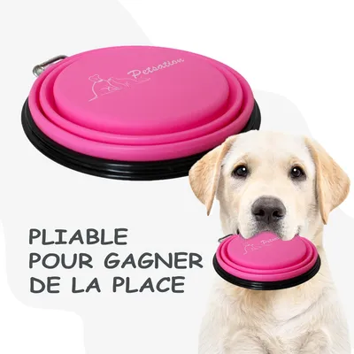 Bol Pliable pour Chiens et Chats - Compact, Silicone Durable, Voyage.