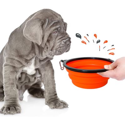 Bol Pliable pour Chiens et Chats - Compact, Silicone Durable, Voyage.