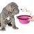 Bol Pliable pour Chiens et Chats - Compact, Silicone Durable, Voyage.