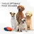 Bol Pliable pour Chiens et Chats - Compact, Silicone Durable, Voyage.