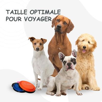 Bol Pliable pour Chiens et Chats - Compact, Silicone Durable, Voyage.