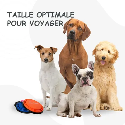 Bol Pliable pour Chiens et Chats - Compact, Silicone Durable, Voyage.