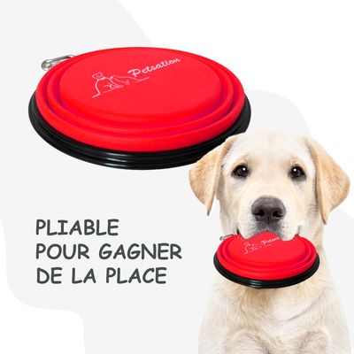 Bol Pliable pour Chiens et Chats - Compact, Silicone Durable, Voyage.