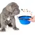 Bol Pliable pour Chiens et Chats - Compact, Silicone Durable, Voyage.