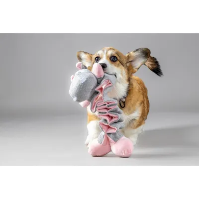 Flamingo - Jouet Hippopotame Rose Filsy 34 cm pour Chiot