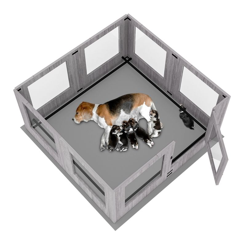 BINGOPAW Parc pour Chien  avec un Tapis   Caisse de Mise Bas