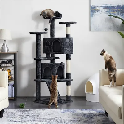 Arbre à Chat Avec 2 Niches 3 Plateformes 2 Boules Hauteur 158cm Noir