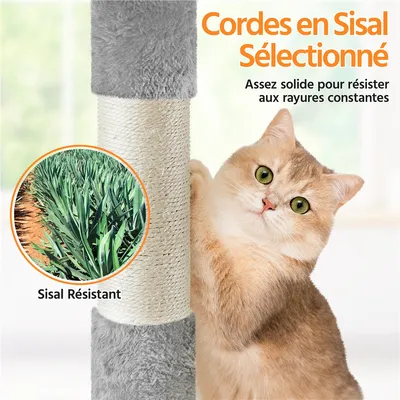 Yaheetech Arbre à Chat Polyvalent