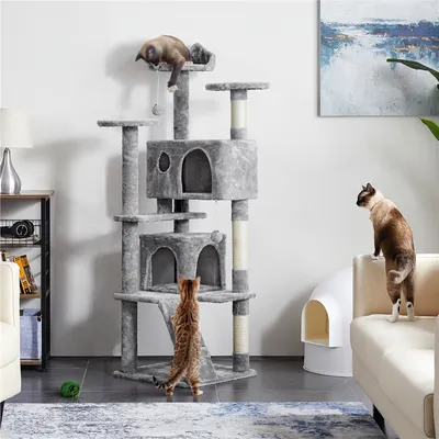 Arbre à Chat Avec 2 Niches 3 Plateformes 2 Boules Hauteur 158cm