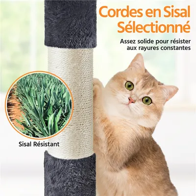 Yaheetech Arbre à Chat Design Adorable