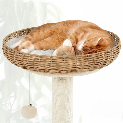 Yaheetech Arbre à Chat en Rotin