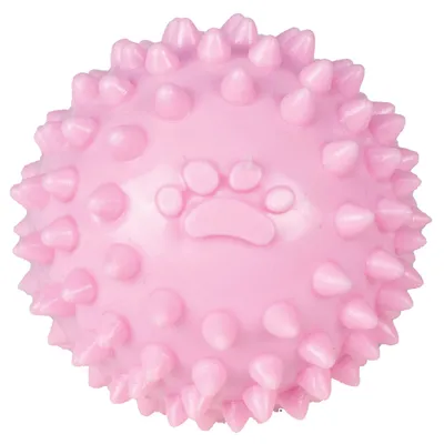 Doogy Balle avec picots pour chiot