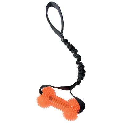 Doogy Jouet de traction pour chien