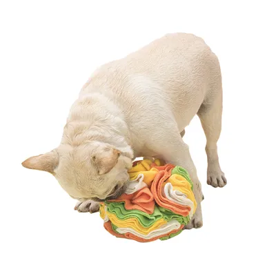 Doogy Boule de fouille : 15cm