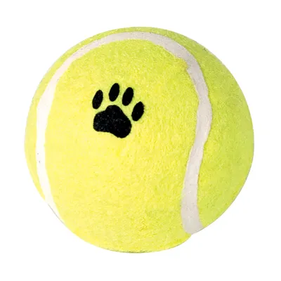 Idealdog Shooter Idealdog pour chien