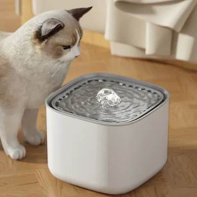 MCBOSON  Fontaine à boire automatique 3L pour chien et chat