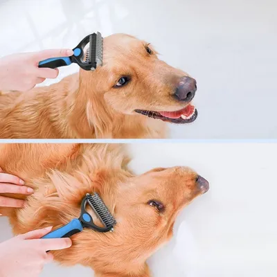 MCBOSON  Brosse à poils longs pour chien