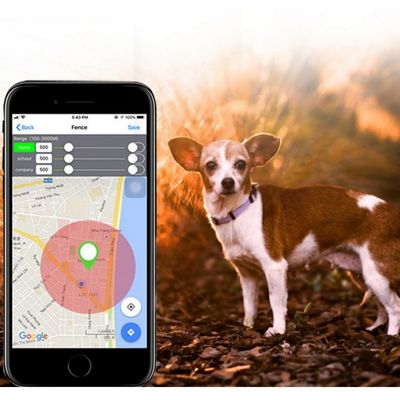 MCBOSON  Traceur GPS pour chienpreuve de l'eau