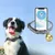 MCBOSON  Traceur GPS pour chienpreuve de l'eau