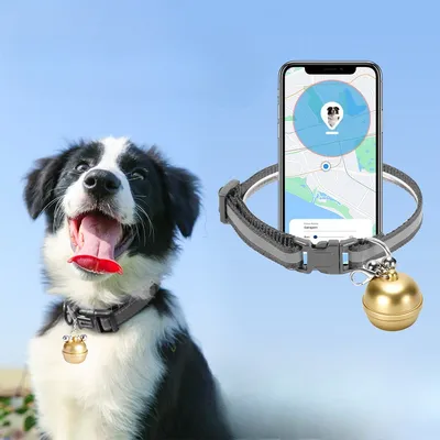 MCBOSON  Traceur GPS pour chienpreuve de l'eau