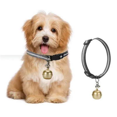 MCBOSON  Traceur GPS pour chienpreuve de l'eau