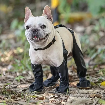 MCBOSON Wasserdichte Hundeschuhe MCBOSON Wasserdichte Hundeschuhe
