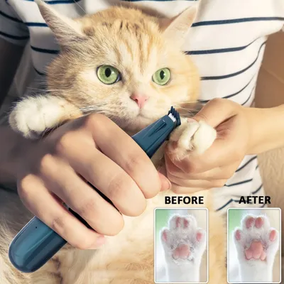 MCBOSON  Tondeuse pour chiens et chatsavec lumière LED