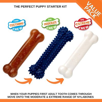 Nylabone Jouet à mâcher pour chiens