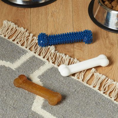 Nylabone Jouet à mâcher pour chiens