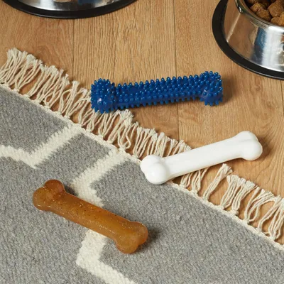 Nylabone Jouet à mâcher pour chiens