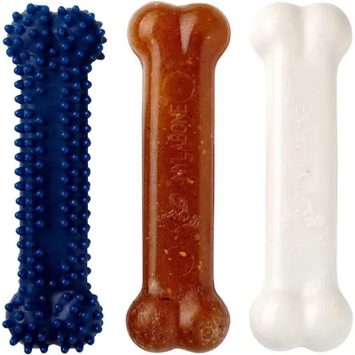 Nylabone Jouet à mâcher pour chiens
