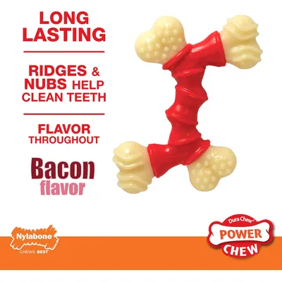 Nylabone Jouet à mâcher pour chiens