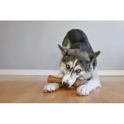 Nylabone Jouet à mâcher pour chiots