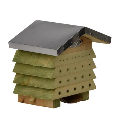 Abri en bois pin avec toit en zinc pour abeilles