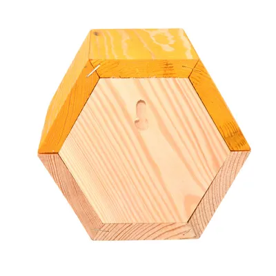 Maison à abeilles hexagonale en bois